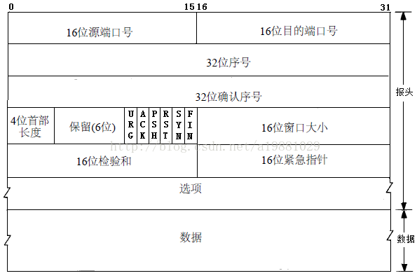 tcphead